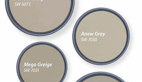 Greige Color Scheme Paint 7 Best Paint s You Need In Your