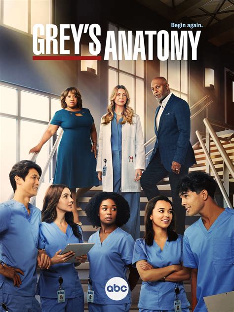 grey's anatomy how many