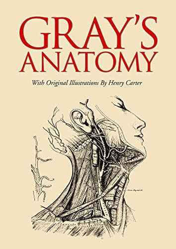 grey's anatomy medical book online