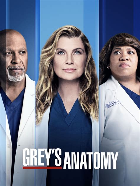 grey's anatomy stream netflix