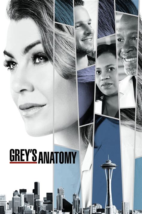 grey's anatomy subtitrat in romana