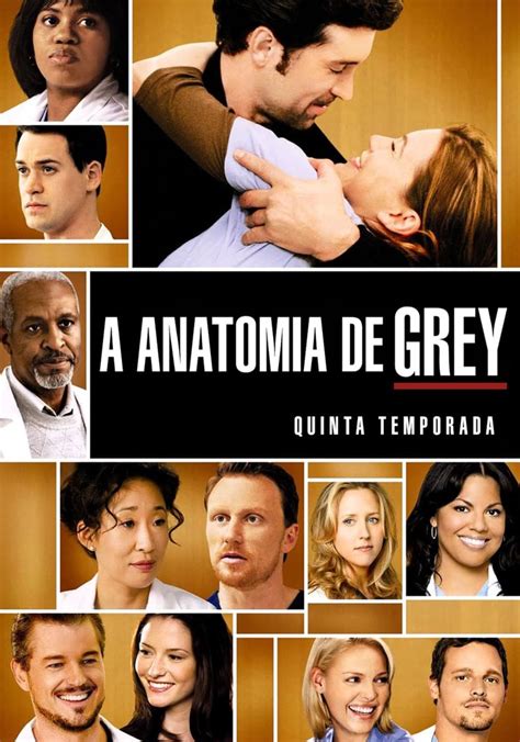grey's anatomy temporada 5 online latino