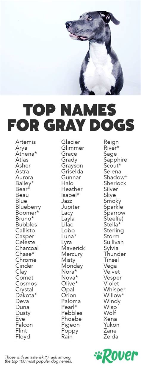 Grey and White Dog Names