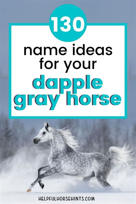 grey dapple horse names