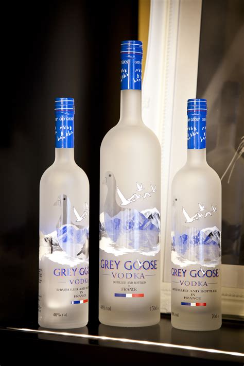 Grey Goose Vodka Largest Bottle Best Pictures and Decription