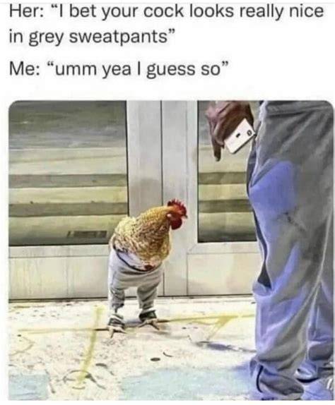 Grey Sweatpants Meme Gay