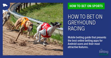 greyhound bet racing strategy