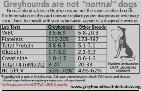 Greyhound Blood Work Differences