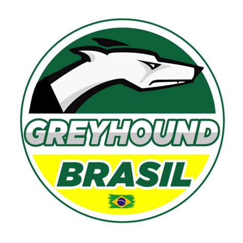 greyhound brasil