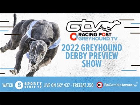 greyhound derby betting all bookies