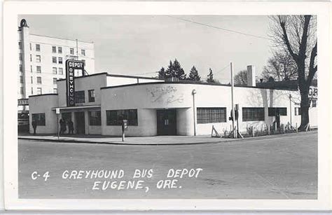 greyhound eugene