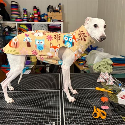 Greyhound Jumper Sewing Pattern