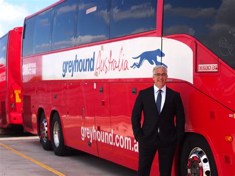 greyhound.au