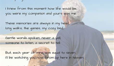 Grief Poem Dog Pet Loss Quotes Google Search Pet Loss