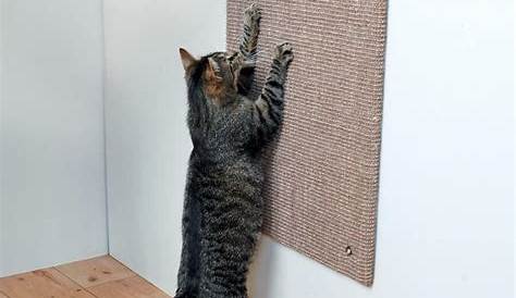 Griffoir Mural Pour Chat Design VOLTO