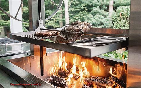 Grill Definition And Examples