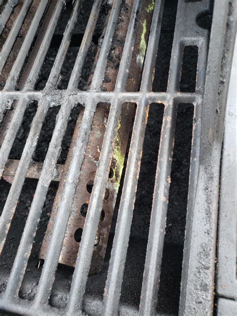 Grill Grates Moldy
