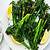 grilled broccolini recipe