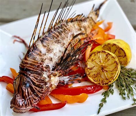 grilled lionfish recipes