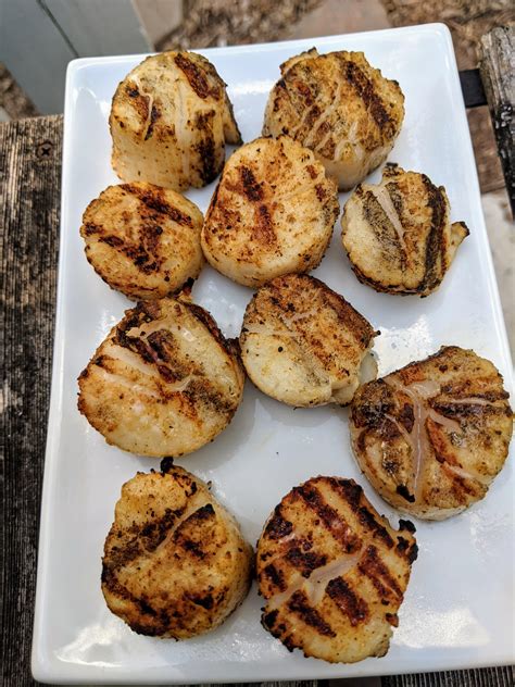 Grilled Scallops Bge