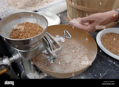 grinding into flour
