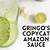 gringo's amazon sauce recipe