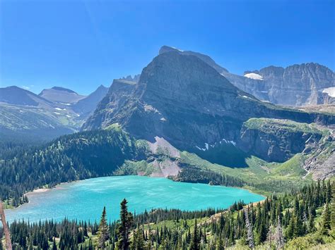 Grinnell Canvas Login Guide