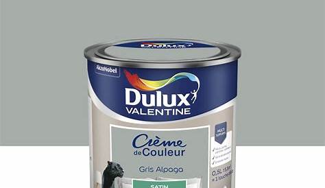 Gris Alpaga Dulux Peinture DULUX VALENTINE Crème De Couleur Satin