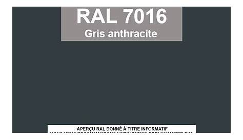 RAL 7016 / Anthracite Grey / 383e42 Schémas de Couleurs