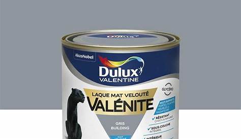 Gris Building Dulux Valentine DULUX VALENTINE Crème De Couleur 0,5 L