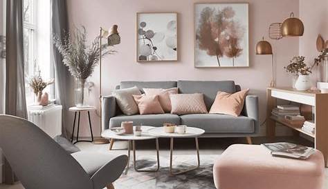 1001 + idées déco originales pour le salon rose et gris