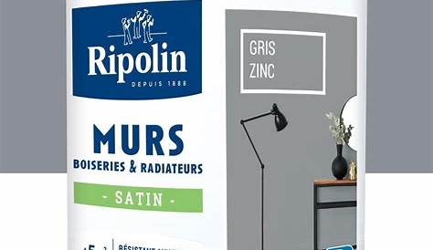 Gris Zinc Ripolin PEINTURE GRIS ZINC MAT 0.5L