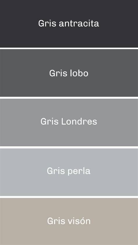 Gris Topo Pared
