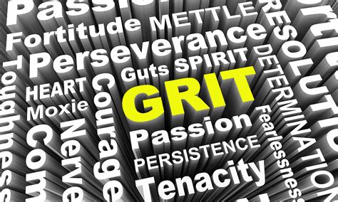 grit and persistence meaning