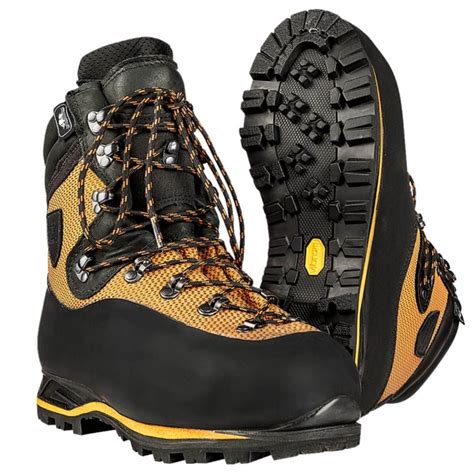 Grizzly 2.0: Pioneering Evolution in Tech