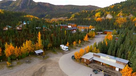 Unveil the Secrets of Grizzly Bear Resorts: Your Gateway to Wildlife Wonders