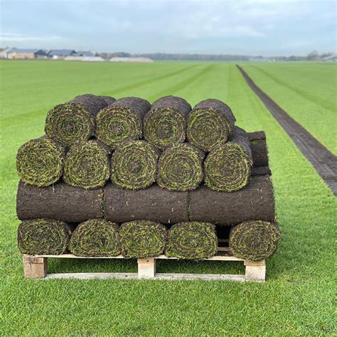 Groene Grasmat Action