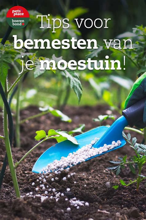 Grond Bemesten Moestuin