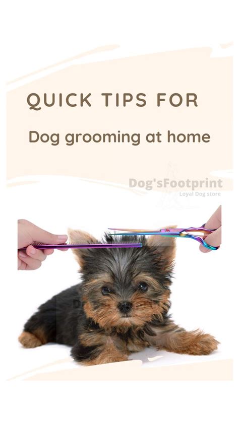 Ultimate Grooming Survival Techniques Guide