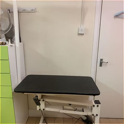 Grooming Table Used