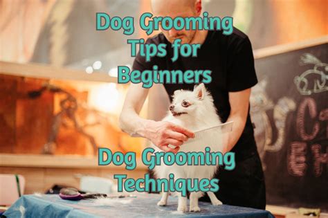 Mastering grooming techniques for animals: Pro Guide