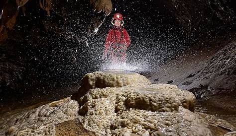 Photo Grotte de la Douch (Hérault) - Spéléo devant cristaux couvrant le