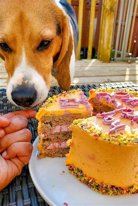 Ground Beef Dog Cake