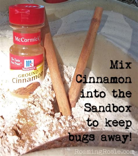 Ground Cinnamon In Sandbox