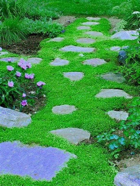 15 Ground Cover Plants You Should Grow Instead Of Grass In Your Yard