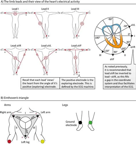 Ground Electrode In Ecg
