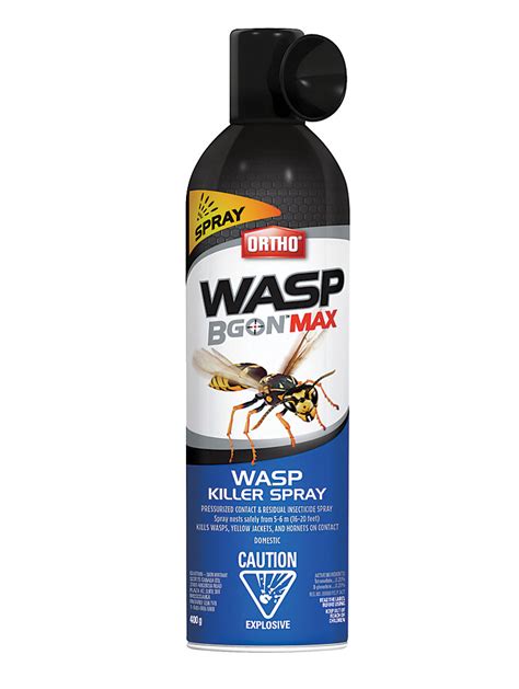 ground wasp removal spray