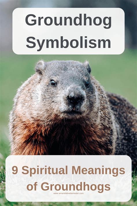 Groundhog symbolism