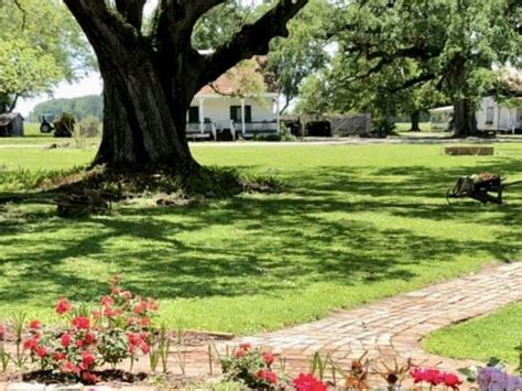 Grounds of St Joseph Plantation
