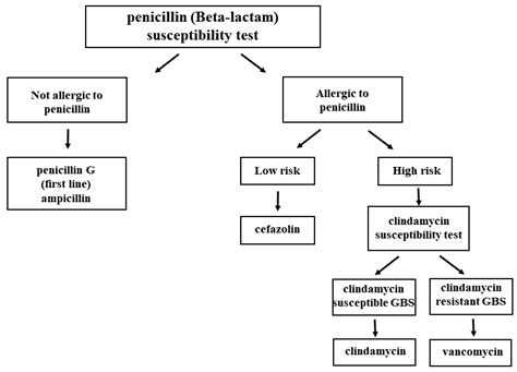 Effective Group B Strep Antibiotics: Treatment and Prevention Options